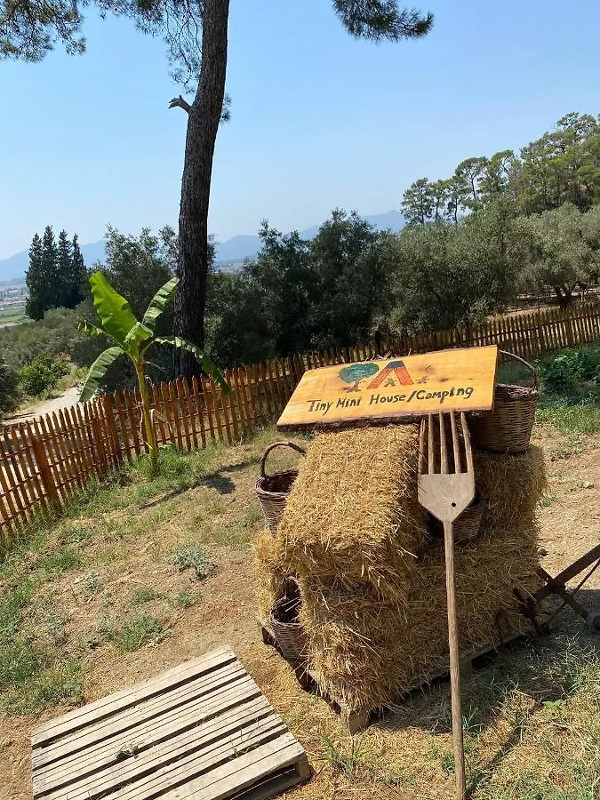 Tiny Mini House Hotel Dalaman Turquia