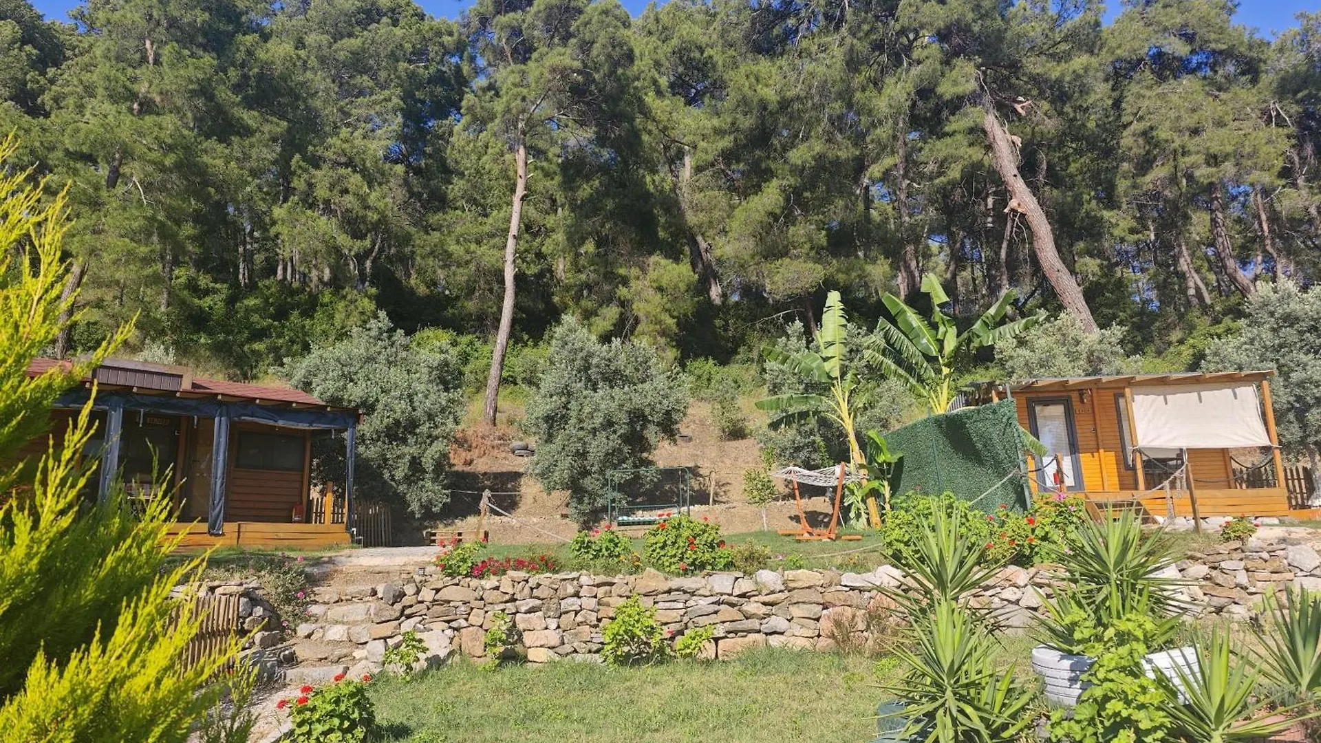 Tiny Mini House Hotel Dalaman Turquia